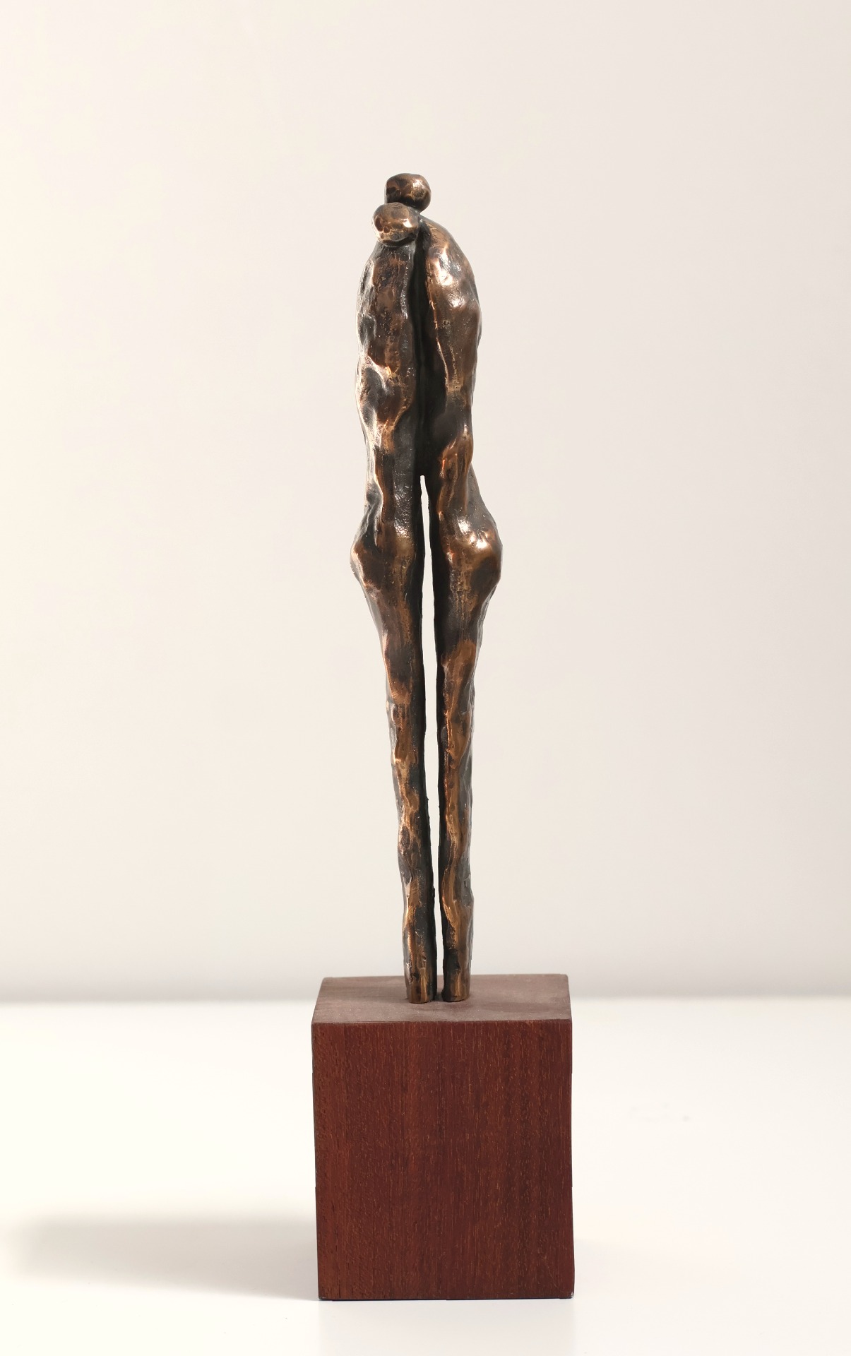 Untitled - N. Del Pino